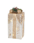 Pacco regalo medio, oro e bianco con 20 leds e decoro. L'oca nera