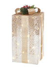 Pacco regalo grande, oro e bianco con 24 leds e decoro. L'oca nera