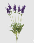 Lavanda Prix cespuglio da 6 rami, 2 colori H.48cm. EDG