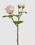 Rosa Elis Rex, ramo x3, rosa chiaro, H. 48cm. EDG