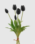 Tulipano gommoso bouquet da 5 tulipani, colore nero, H. 40cm. EDG