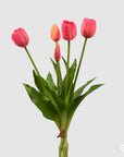Tulipano gommoso bouquet da 5 tulipani, colore fucsia, H. 40cm. EDG