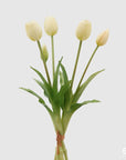 Tulipano gommoso bouquet da 5 tulipani, colore panna, H. 40cm. EDG