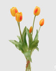 Tulipano gommoso bouquet da 5 tulipani, colore giallo con sfumature arancio, H. 40cm. EDG