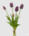 Tulipano gommoso bouquet da 5 tulipani, colore viola, H. 40cm. EDG