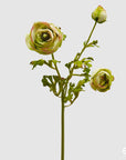 Ranuncolo Dea ramo, 2 colori disponibili, H. 60 cm. EDG