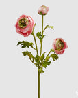 Ranuncolo Dea ramo, 2 colori disponibili, H. 60 cm. EDG