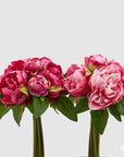 Mazzetto 9 Peonie Olis, colore fucsia/rosa scuro, H. 25cm. EDG