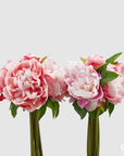 Mazzetto 9 Peonie Olis, colore rosa, H. 25cm. EDG