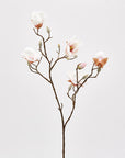 Magnolia Steel, 3 colori disponibili, H. 80 cm. EDG