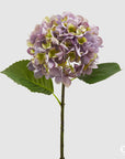 Ortensia Olis, colore lilla, H. 48 cm. EDG