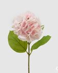 Ortensia Real touch, colore rosa chiaro, H. 50 cm. EDG