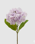 Ortensia Real touch, colore lilla, H. 50 cm. EDG