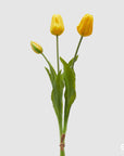 Tulipano Olis, bouquet da 3 tulipani, colore giallo, H. 48 cm. EDG