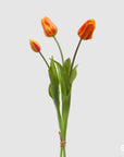 Tulipano Olis, bouquet da 3 tulipani, colore arancio sfumato, H. 48 cm. EDG