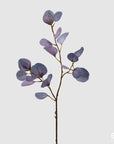 Eucalipto Glory ramo x3, colore blu, H. 75cm. EDG