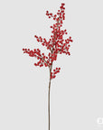 Ramo di bacche, H. 110 cm., decorazione floreale natalizia. EDG