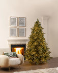 Alberi di Natale Pino Argentato H.210 cm. con 4000 led. EDG