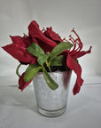 Vasetto argento con amaryllis rosso, h.18cm. Sia Home Fashion