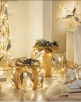 Pacco regalo, misura grande, oro con 20 leds. L'oca nera
