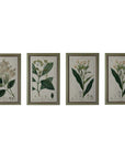 Quadro con fiori, cornice verde in legno, disegni assortiti. Blanc Mariclò