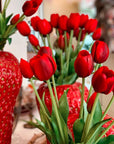 Tulipano gommoso bouquet da 5 tulipani, 2 colori assortiti, H. 40cm. EDG