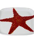 Vassoio quadrato, Linea Corallo, decoro Stella marina, in ceramica. Virginia Casa