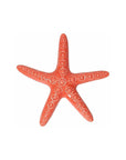Stella marina, colore rosso corallo, in ceramica. H. 4cm. x 25cm. Tognana