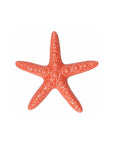 Stella marina, colore rosso corallo, in ceramica. H. 3cm. x 18cm. Tognana