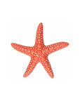 Stella marina, colore rosso corallo, in ceramica. H. 3cm. x 16cm. Tognana