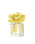 Profumatore d'ambiente "Rosa Diffuser" uva e fico, 100ml. Muhà
