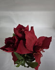 Vasetto argento con amaryllis rosso, h.18cm. Sia Home Fashion