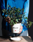 Vaso Menta con sottovaso in gres decoro "Menta" bianco con scritta in nero. Simple day