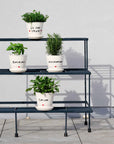 Vaso Salvia con sottovaso in gres decoro "Salvia" bianco con scritta in nero. Simple day