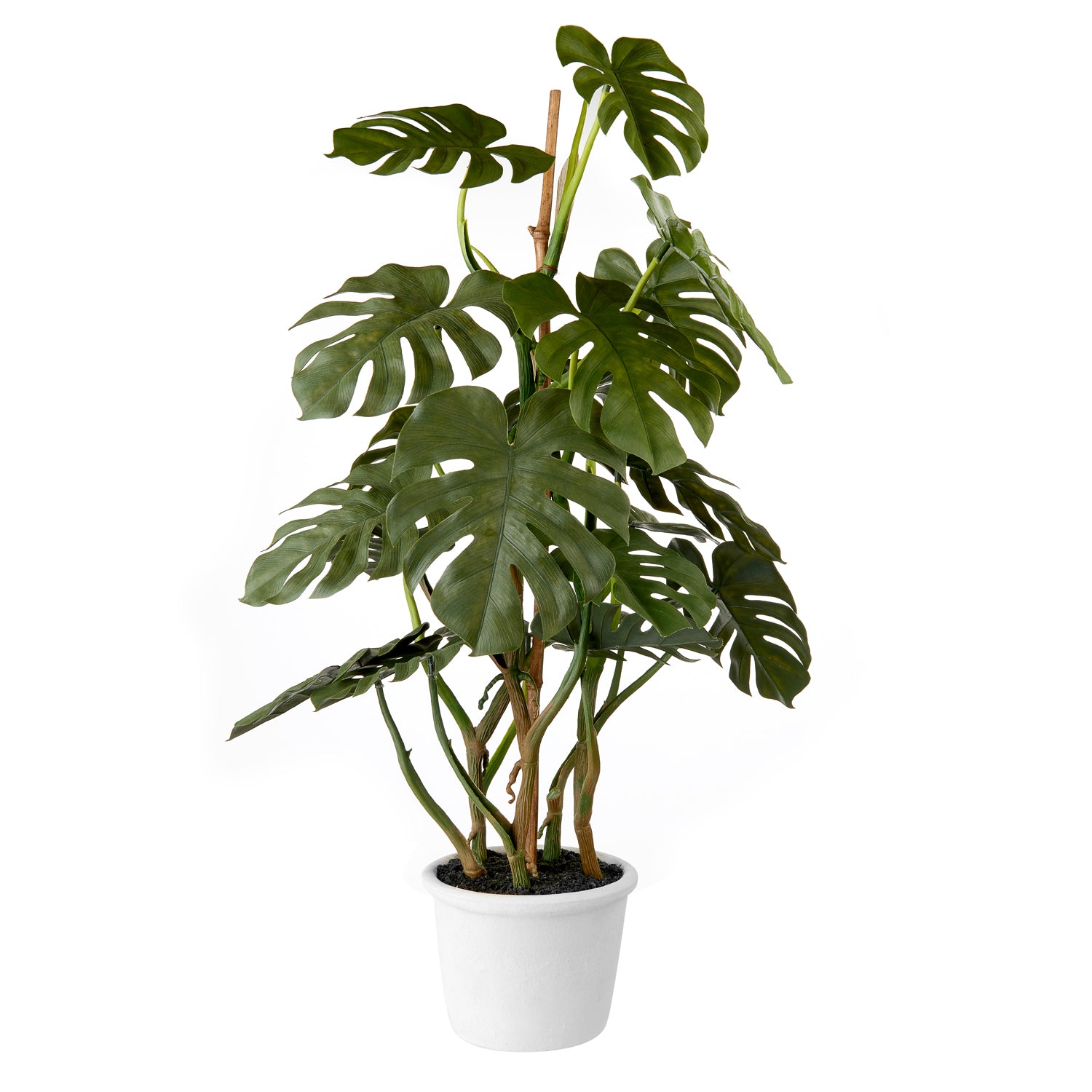 Pianta artificiale Monstera Deliciosa con vaso H.70 cm. L&#39;oca nera