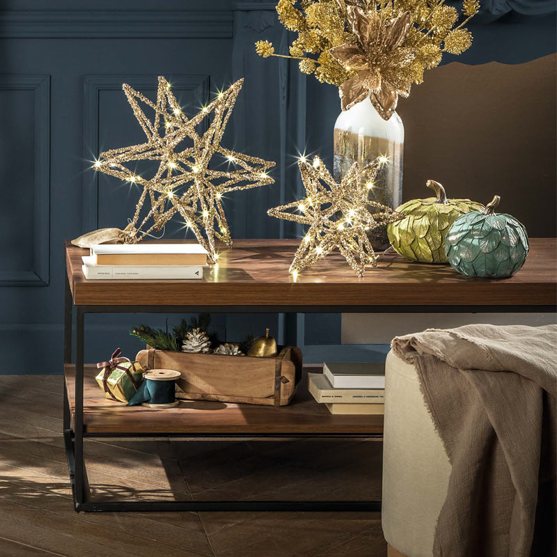 Stella misura piccola da appoggio, con luce a led, decorazione natalizia. L'oca nera