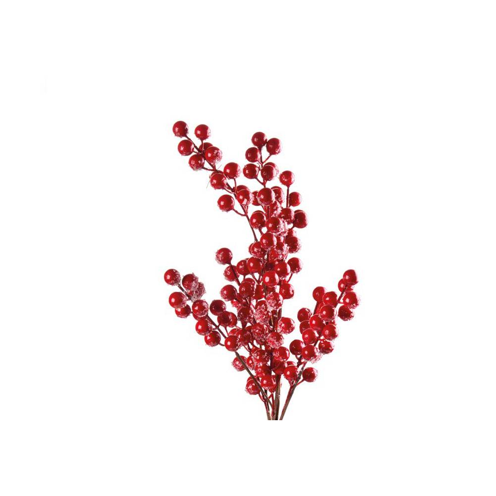 Decorazione floreale natalizia, Ramo di bacche rosse. L'oca nera