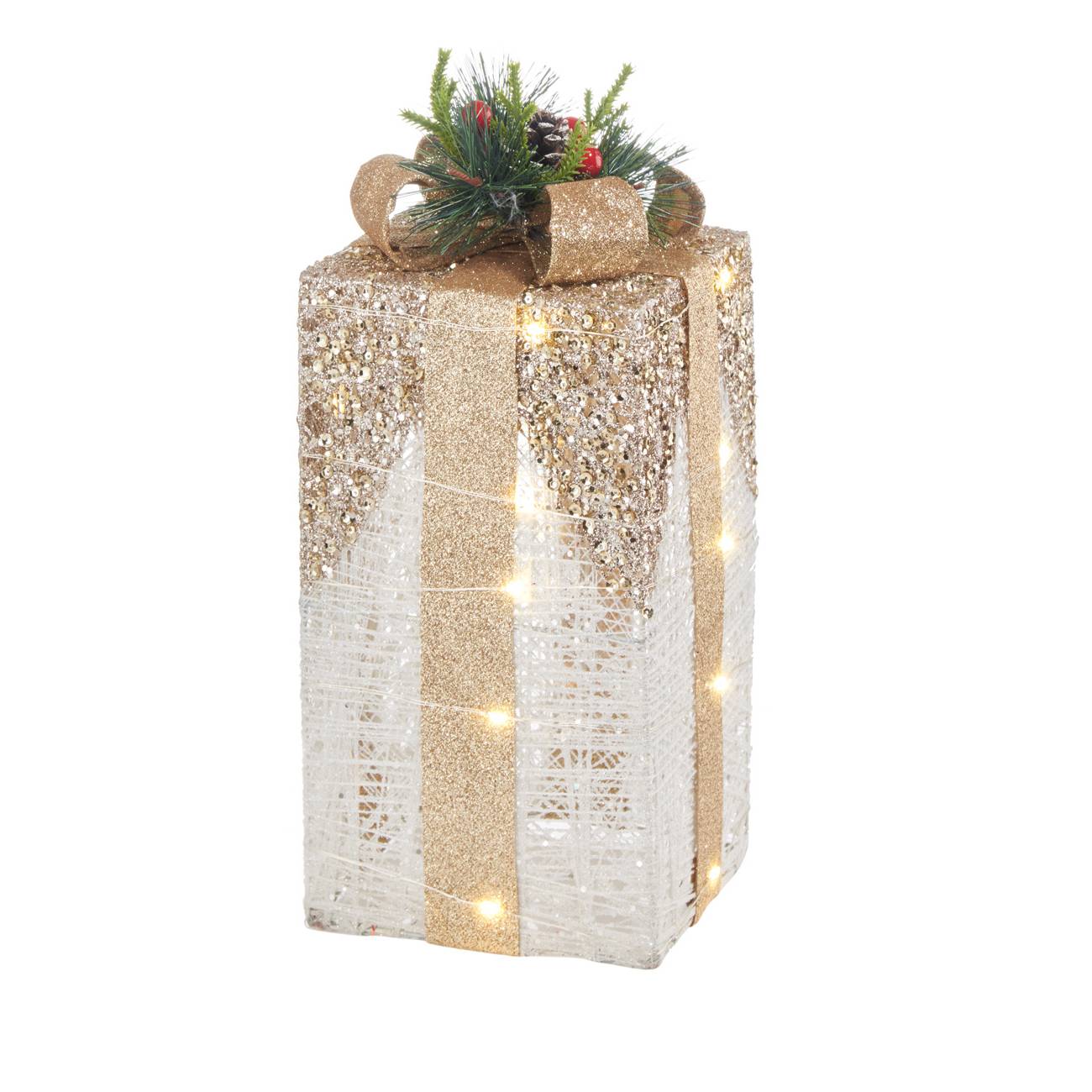 Pacco regalo piccolo, oro e bianco con 20 leds e decoro. L&#39;oca nera