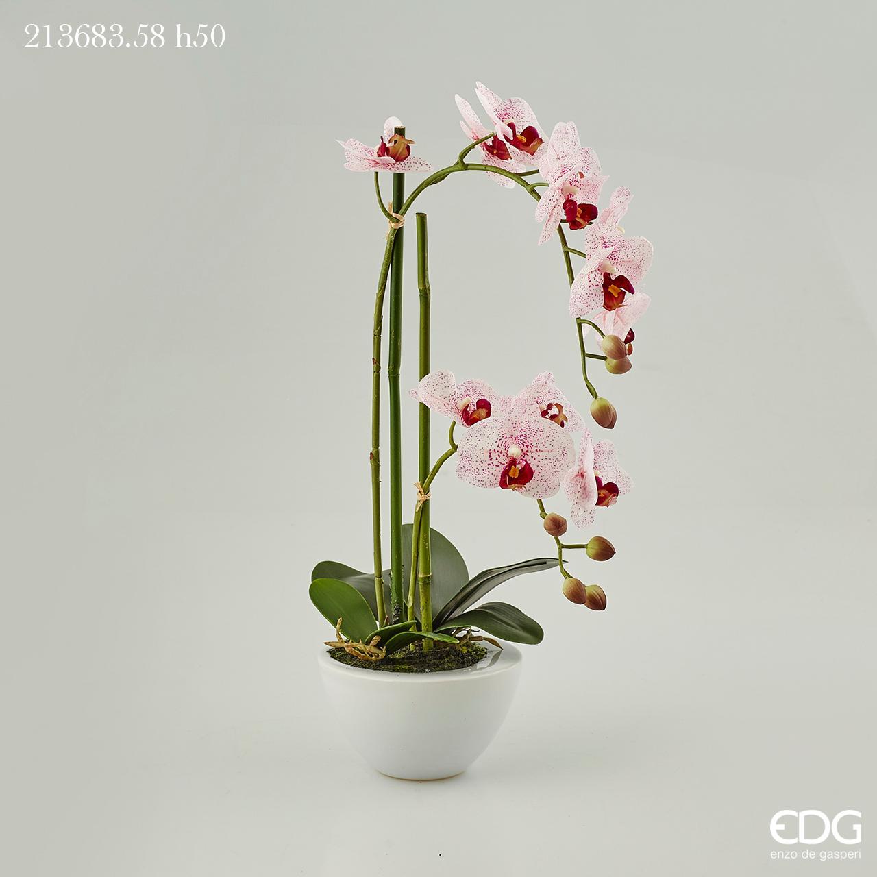 Vaso bianco in ceramica con 2 rami di Orchidea Phalaenopsis Real rosa H.50. EDG