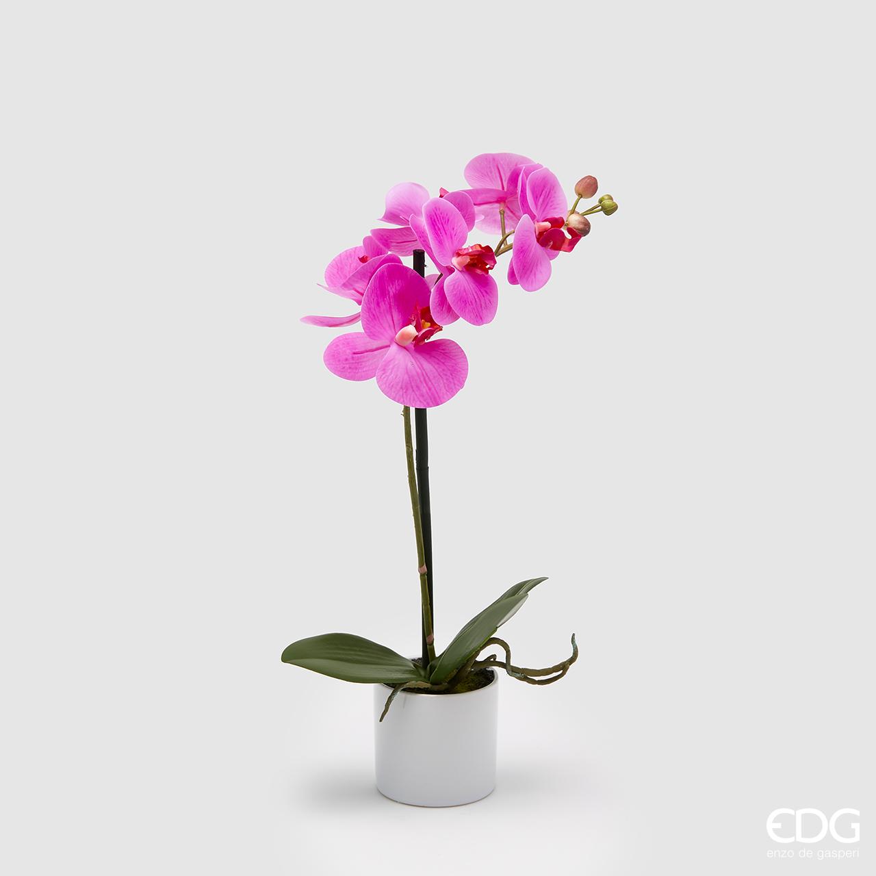 Vaso bianco in ceramica con Orchidea Phalaenopsis fucsia Real H.40. EDG