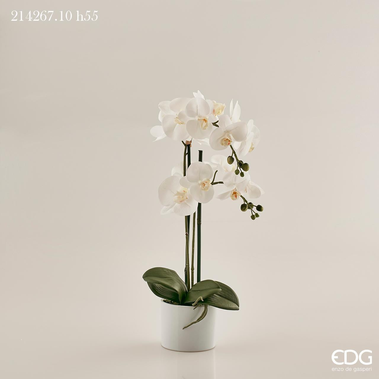 Vaso bianco in ceramica con 2 rami Orchidea Phalaenopsis bianca Real H.55cm. EDG