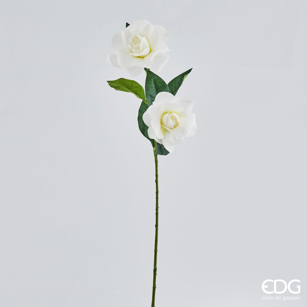 Gardenia Chic ramo x2, colore bianco, H.65 cm. EDG