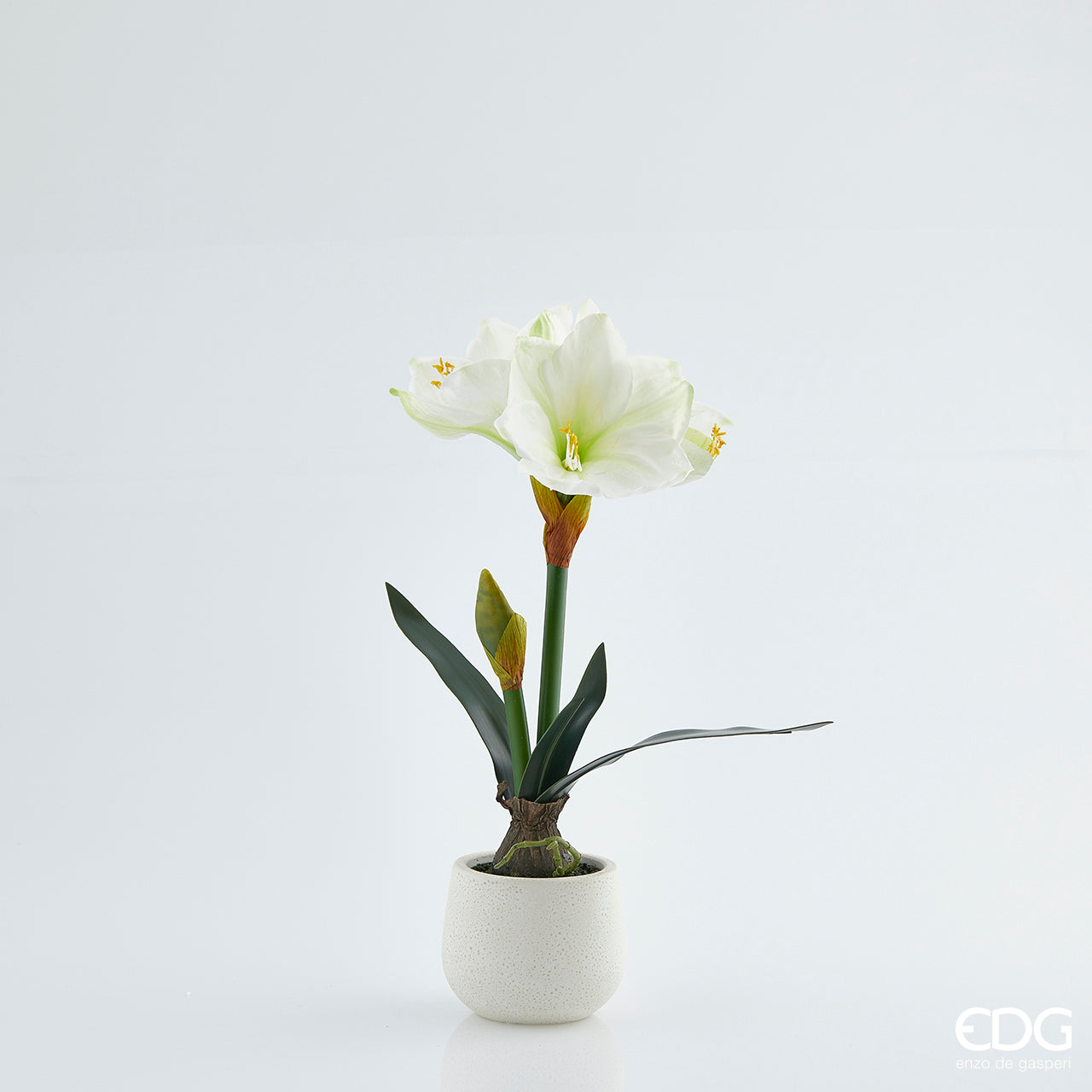 Vaso bianco in ceramica con Amaryllis bianca e foglie H.48. EDG