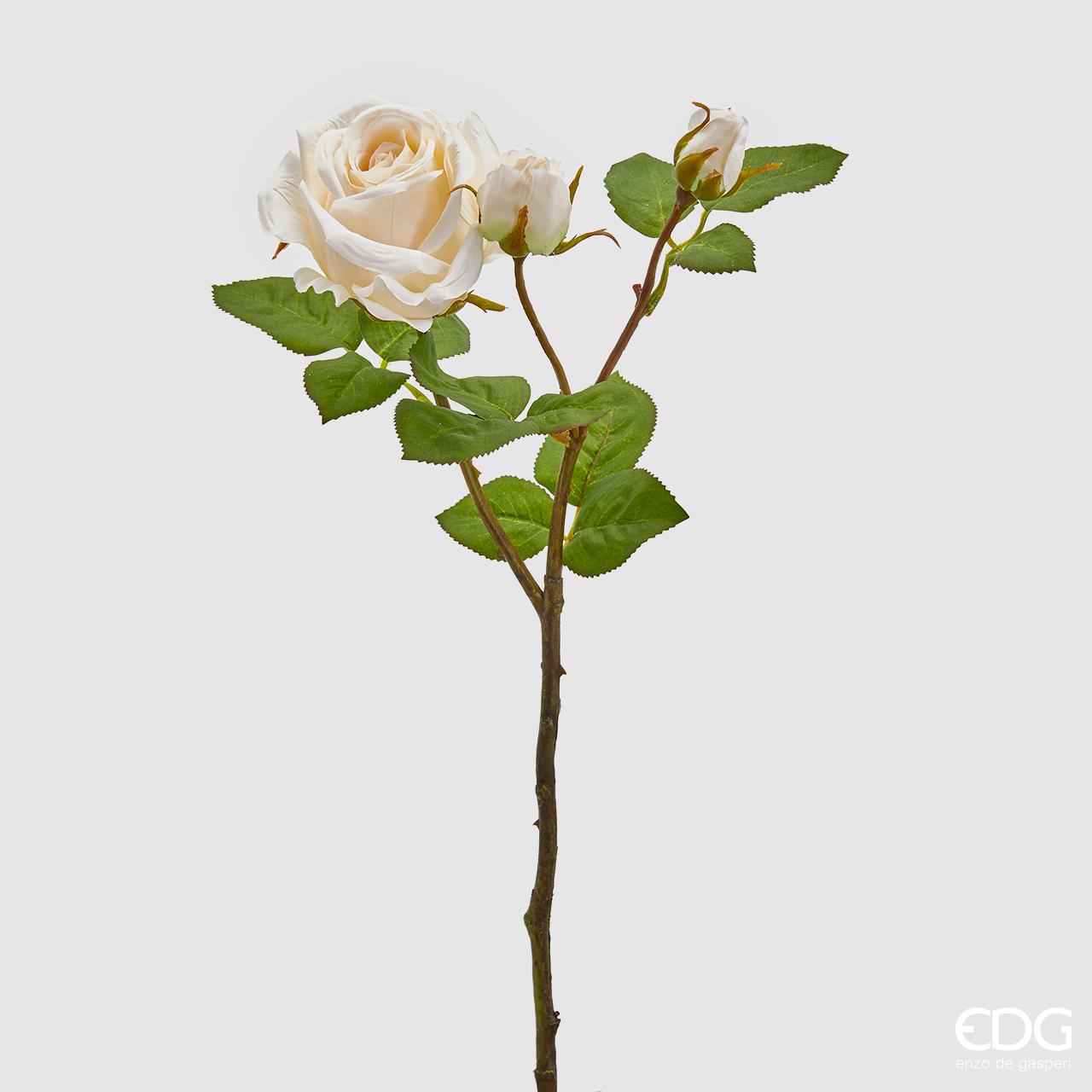 Rosa Elis Rex, ramo x3, avorio, H. 48cm. EDG