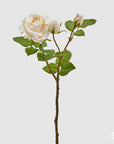 Rosa Elis Rex, ramo x3, avorio, H. 48cm. EDG