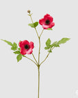 Anemone Rex Ramo, 5 colori disponibili, H. 70 cm. EDG