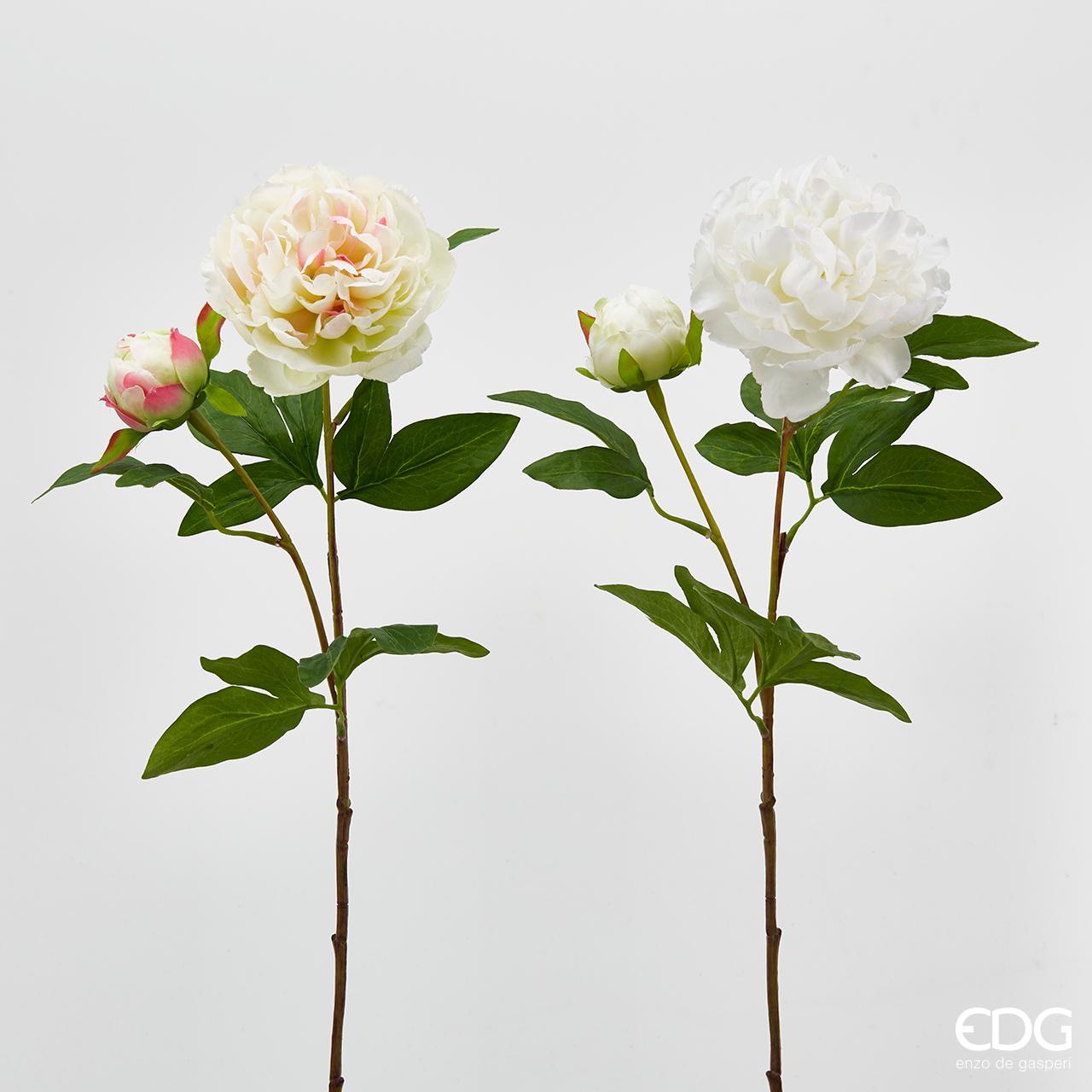 Peonia Olis, colore bianco/rosa chiaro, H. 70 cm. EDG