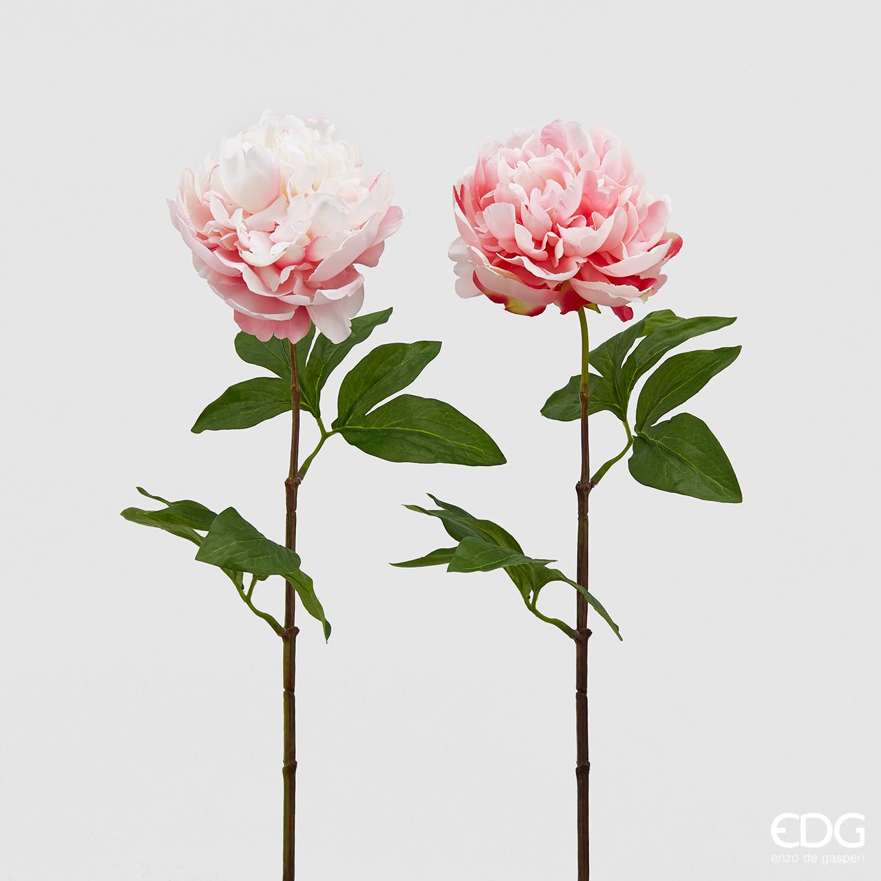 Peonia Olis ramo, colore rosa, H. 65 cm. EDG