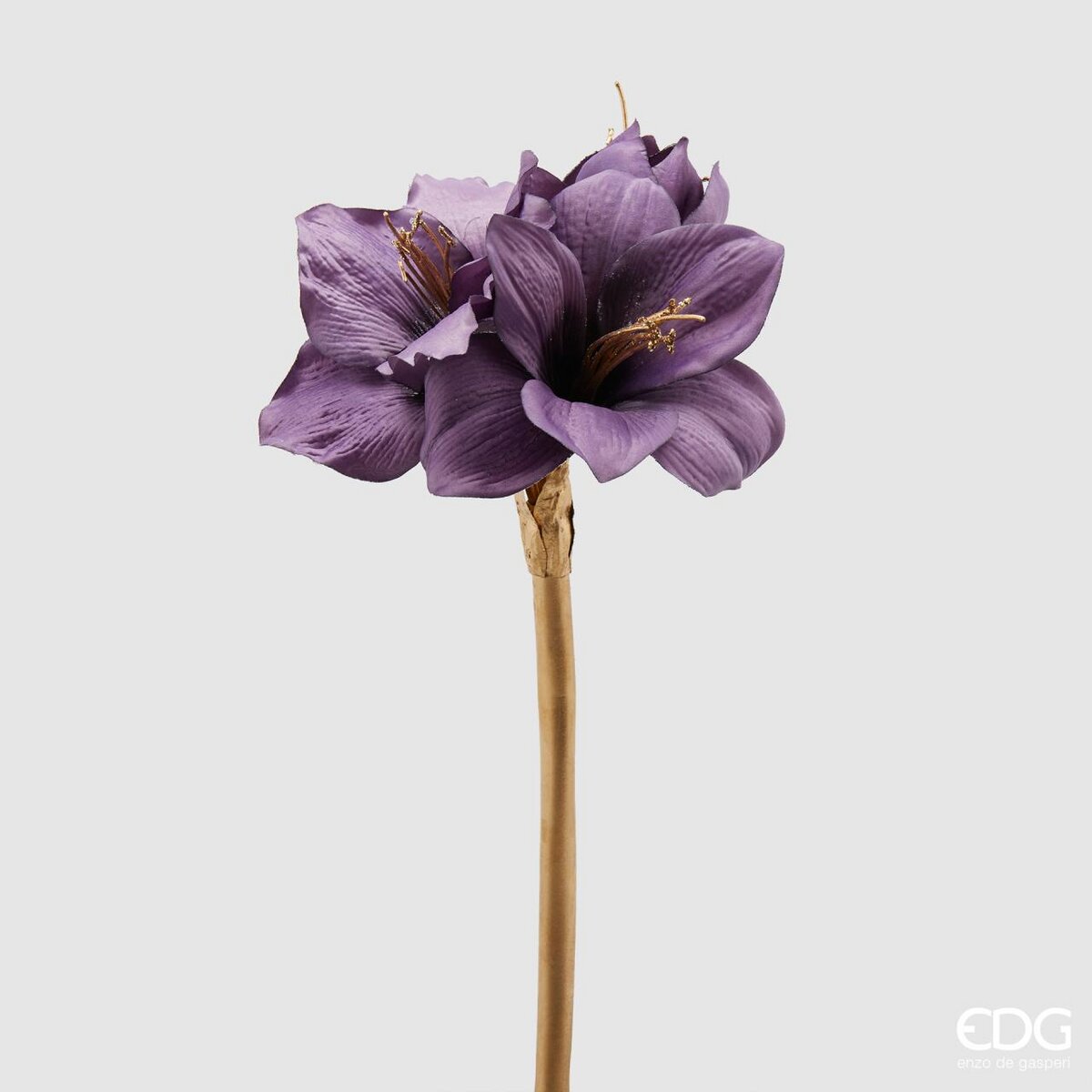 Amaryllis viola con stelo oro H.50 cm. EDG