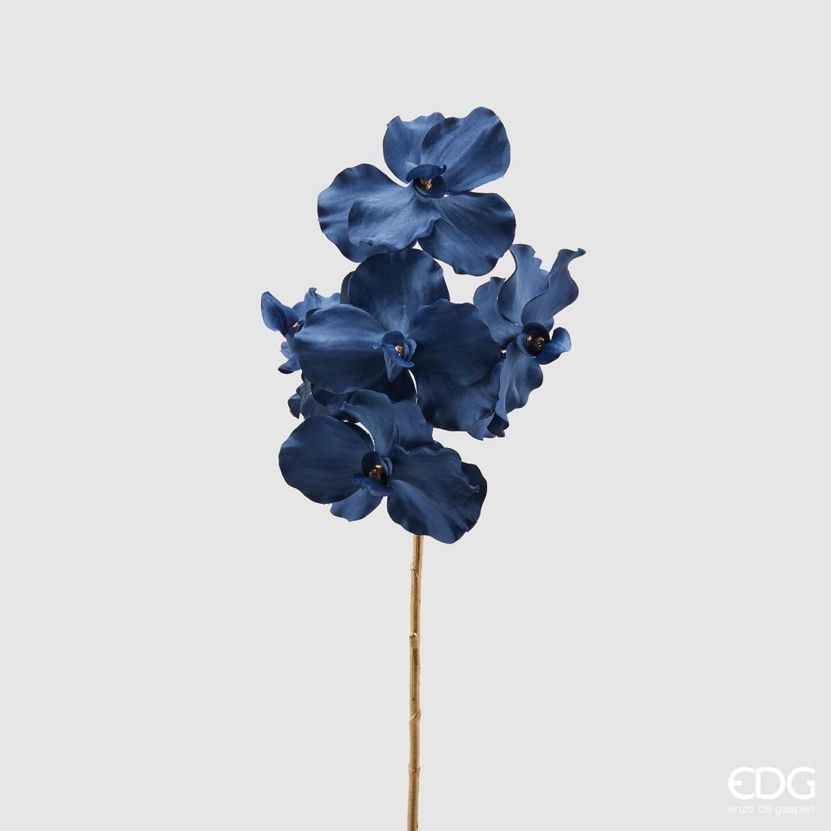Orchidea Vanda blu con stelo oro H.59 cm. EDG